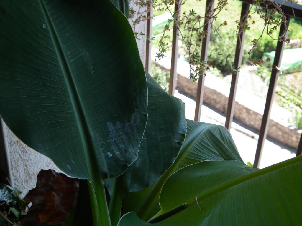 Casa Catharina Bed & Breakfast La Seu d'Urgell Phòng bức ảnh